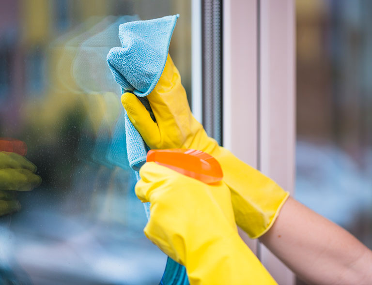 Queak Glass Cleaning - garantia.plus