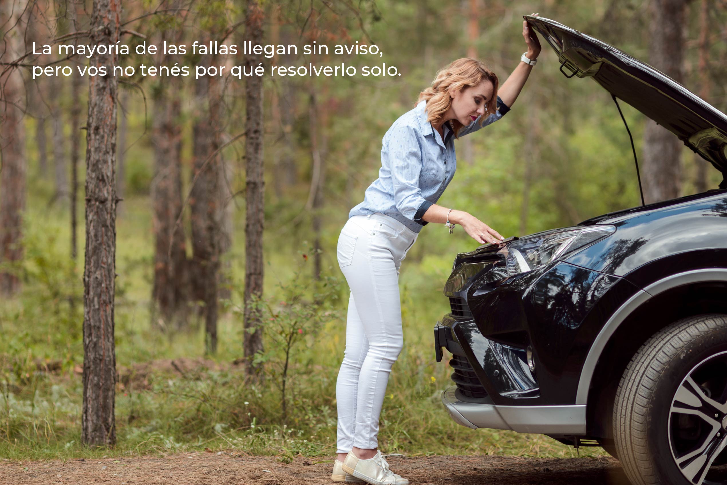 web jpg carrusel 2025-01